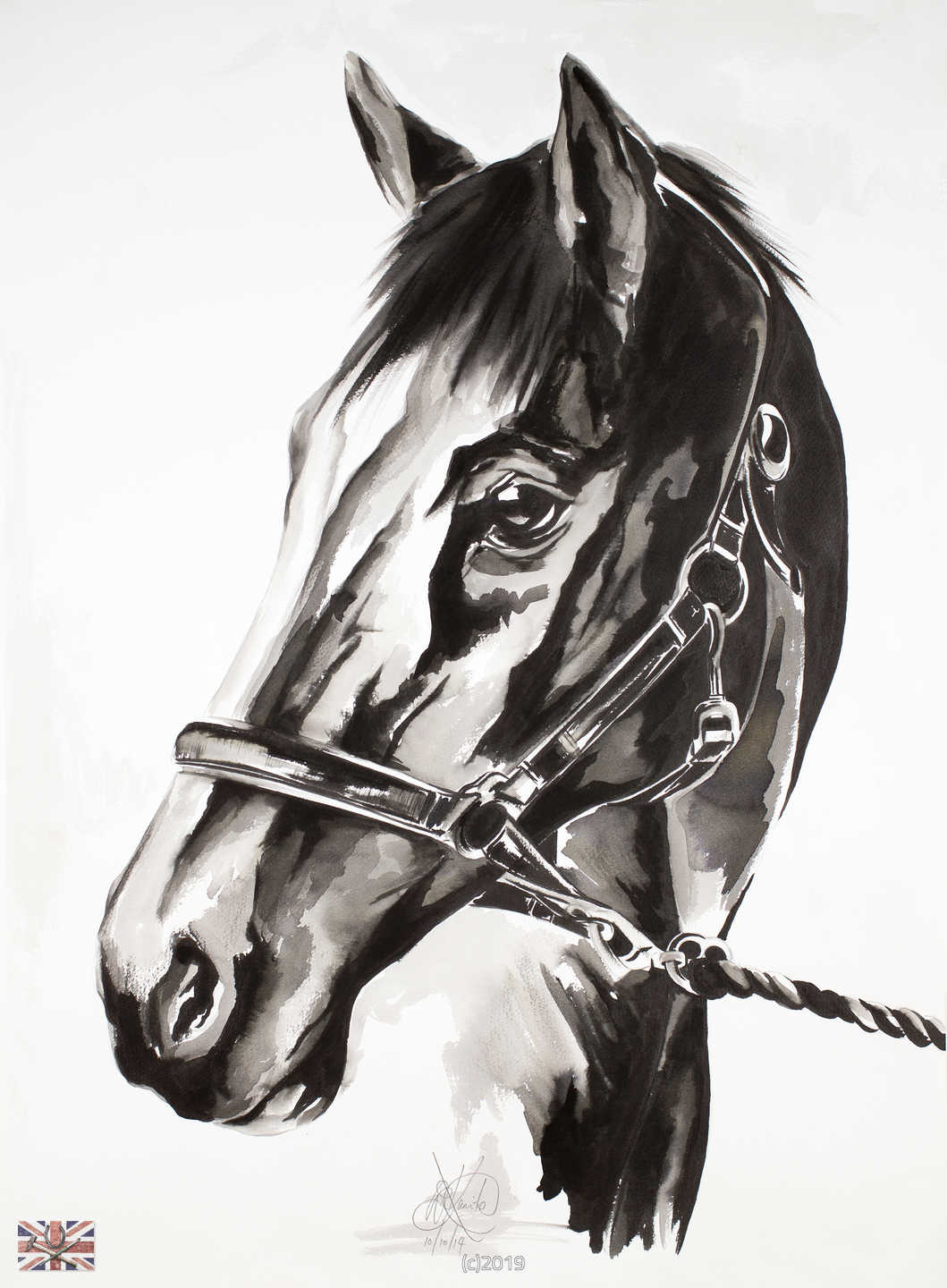 TGG Headcollar Horse Portrait
